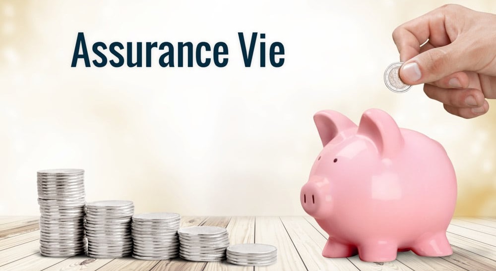 Todo lo que Debes Saber de los «Assurance Vie» en Francia