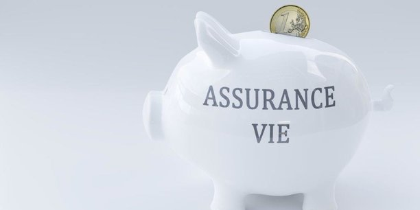¿Pueden los Extranjeros Contratar una Assurance-Vie en Francia?